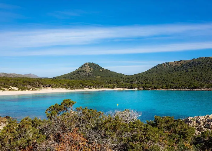 Nogueras Cala Ratjada (Mallorca)